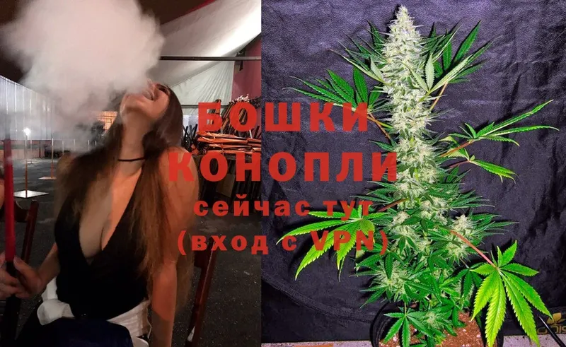 ссылка на мегу ссылка  как найти закладки  Гаджиево  Бошки марихуана THC 21% 